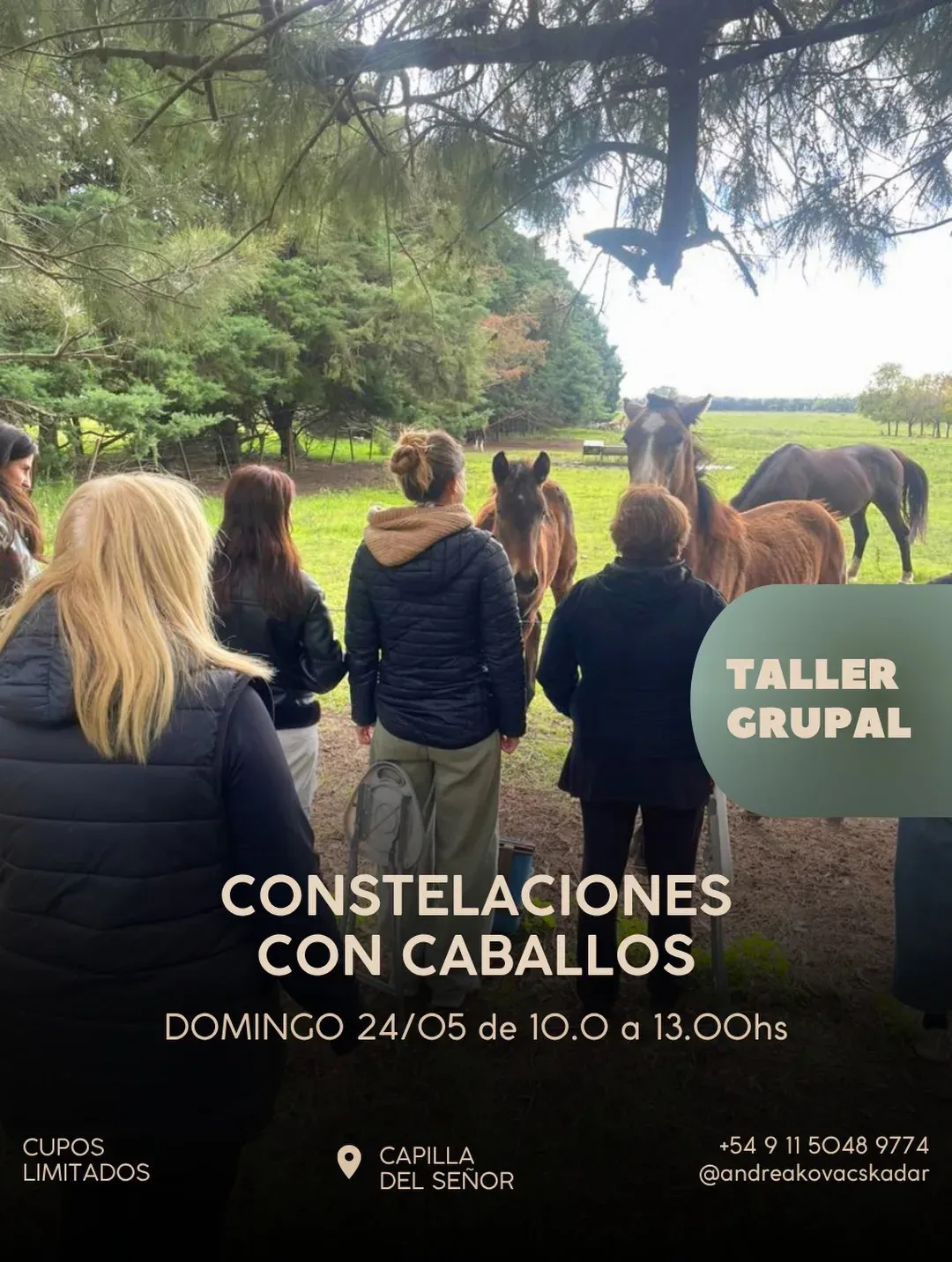 La Carlota del Monte - Tierra de Caballos — captura 5