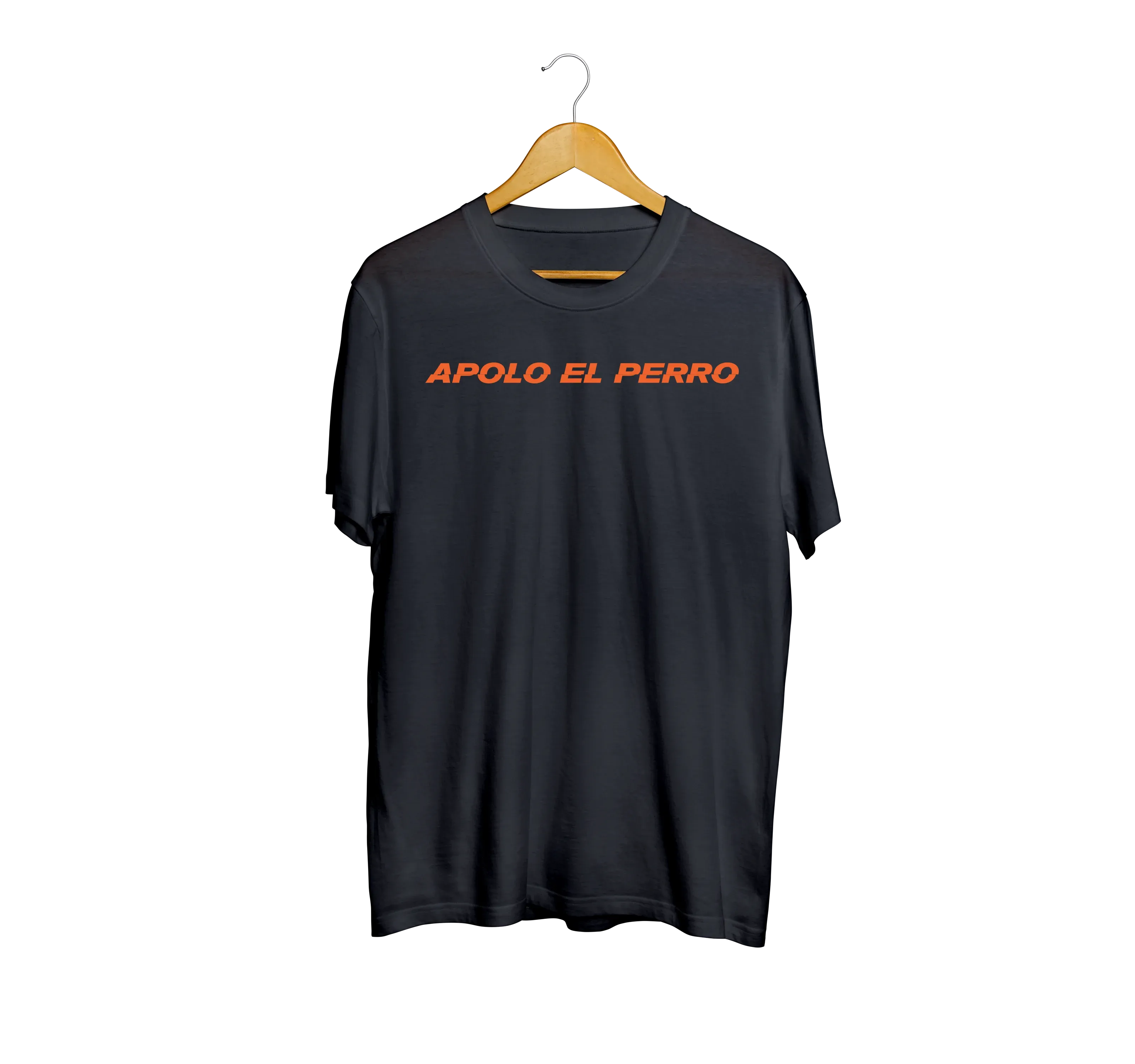 Banda Apolo el Perro - Creacion de Marca e Identidad Visual — captura 2