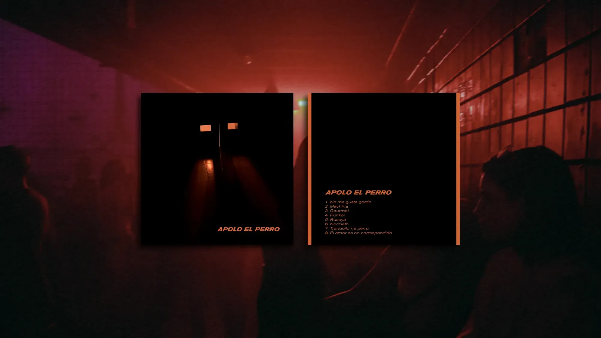 Banda Apolo el Perro - Creacion de Marca e Identidad Visual — captura 5