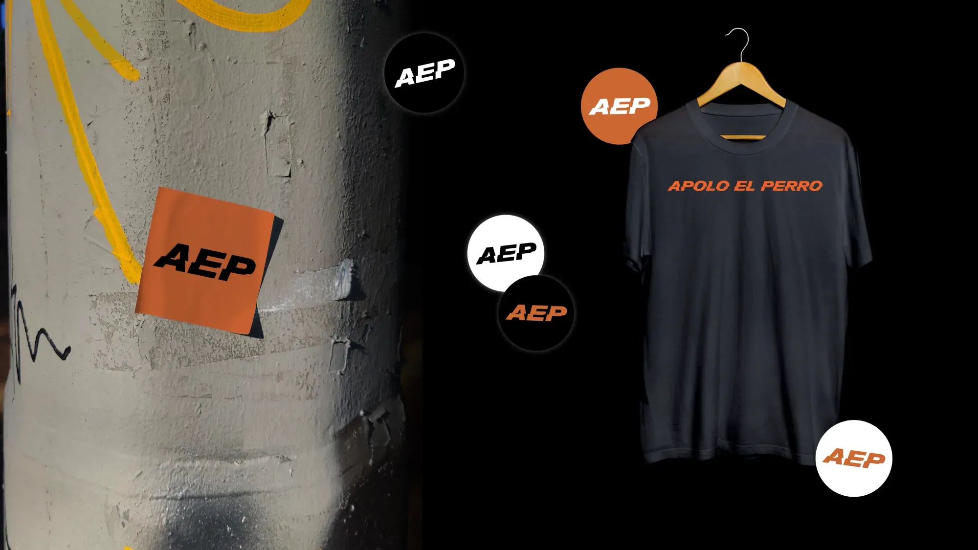 Banda Apolo el Perro - Creacion de Marca e Identidad Visual — captura 1