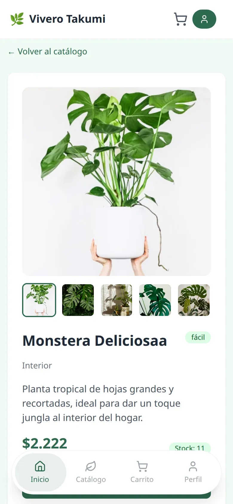 Vivero Takumi - Venta de Plantas y Servicios de Jardinería — pantalla mobile 3