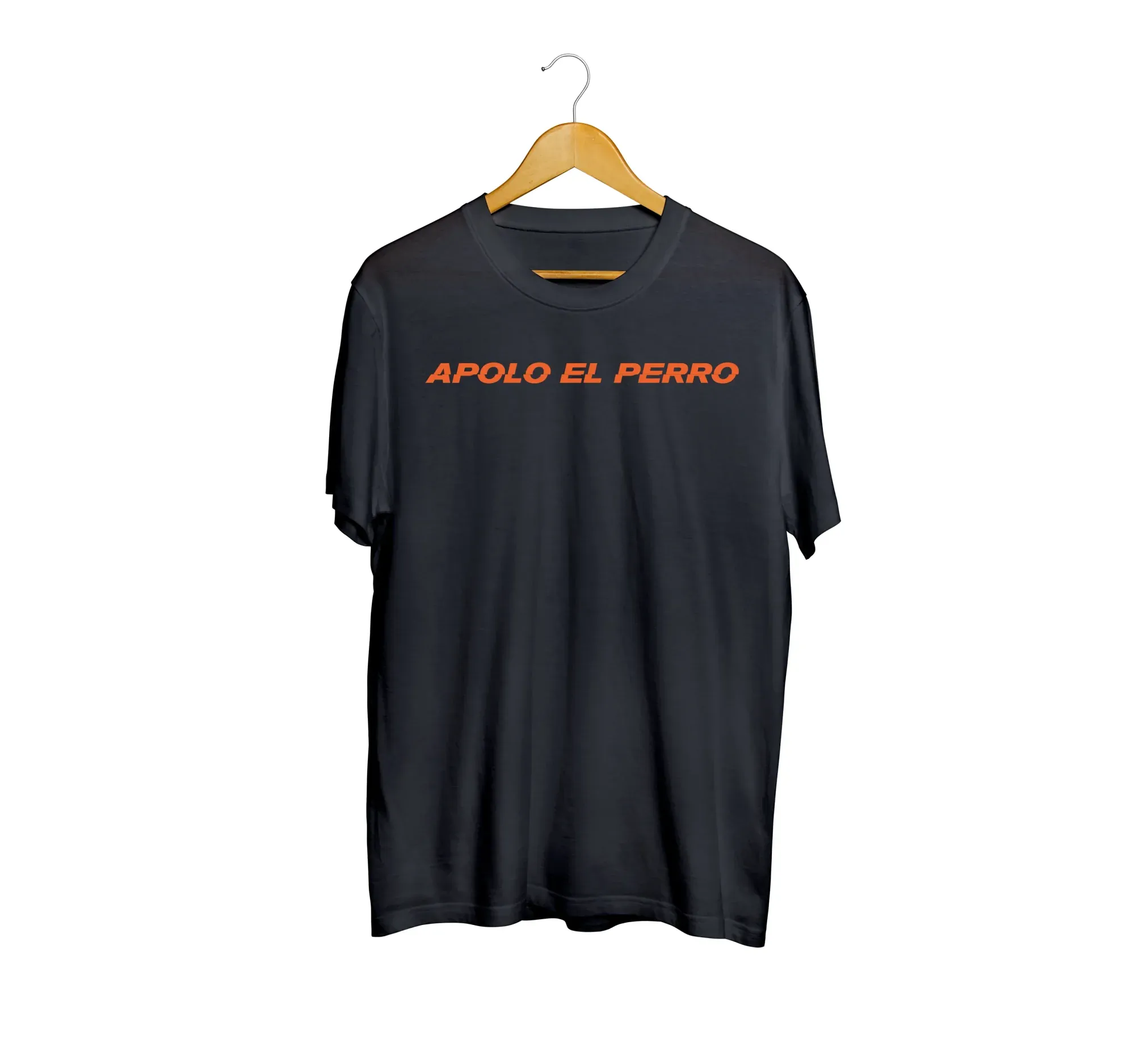 Banda Apolo el Perro - Creacion de Marca e Identidad Visual — captura 4