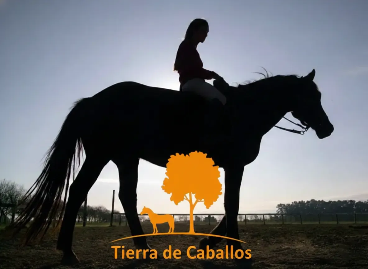 Vista previa de La Carlota del Monte - Tierra de Caballos